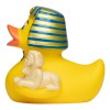 Canard voyage