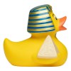 Canard voyage