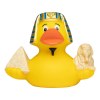 Canard voyage