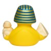 Canard voyage