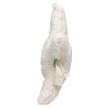 Peluche étoile de mer