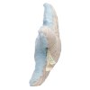 Peluche étoile de mer