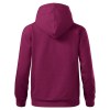 Sweat-shirt capuche Femme