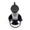 Set mixeur plongeant