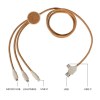 Câble de charge multi-embouts 3 en 1