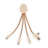 Câble de charge multi-embouts 2 en 1