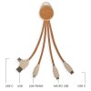 Câble de charge multi-embouts 2 en 1