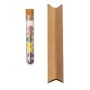 Set Bonbon Graines - Dinaclex