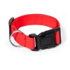 Collier - Mastif