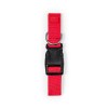 Collier - Mastif