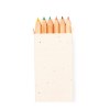 Boîte Crayons Ensemencé - Delar