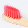 Brosse à Dents - Becu