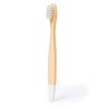 Brosse à Dents - Becu
