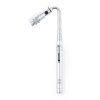 Lampe - Lachman