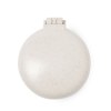 Brosse avec Miroir - Flege