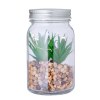 Plante Décorative - Kyala