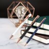 Stylet Bille - Lixor