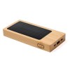 Power Bank - Molden
