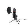 Microphone à Condensateur - Densha