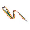 Lanyard - Mapik