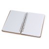 Cahier Ensemencé - Astrida