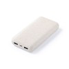 Power Bank - Golblum
