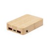 Power Bank - Dominik