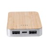 Power Bank - Newin