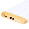 Power Bank - Coquin
