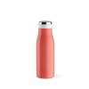 Bouteille / Gourde Arkansas 350 Acier inoxydable recyclé 400 ml