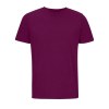 Tee-shirt unisexe - LEGEND