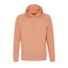 Sweat-shirt unisexe à capuche - CONSTELLATION