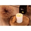 Bougie en cire de soja 220 g - Library - VERA YOUNG