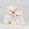 Ours en peluche avec t-shirt