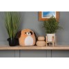 Peluches Squidgy's