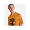 T-shirt bio Brand Tree