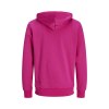 Sweat à capuche unisexe