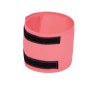 Brassard