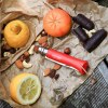 Opinel Colorama No 08 couteau de poche