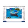 Chevalet standard 7 feuillets oceans 2025 marquage quadri - avec plaque feuillets repositionnables