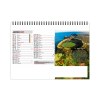 Chevalet standard 13 feuillets mayotte 2025 marquage quadri - avec plaque feuillets repositionnables