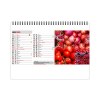 Chevalet standard 13 feuillets couleurs marche 2025 marquage quadri - avec plaque feuillets repositionnables