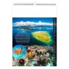 Illustre l mayotte 2025- 13 feuillets - xxl 300x420mm - marquage quadri - page de garde repiquee