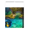 Illustre l mayotte 2025- 13 feuillets - xxl 300x420mm - marquage quadri - page de garde repiquee