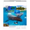 Illustre oceans 2025 - 7 feuillets - xxl 480x580mm - reliure spirale - marquage quadri - page de garde repiquee