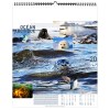 Illustre oceans 2025 - 7 feuillets - xxl 480x580mm - reliure baguette - marquage quadri - page de garde repiquee
