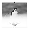 Illustre paradis blanc 2025 - 7 feuillets - xxl 480x580mm - reliure spirale - marquage quadri - page de garde repiquee