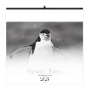 Illustre paradis blanc 2025 - 7 feuillets - xxl 480x580mm - reliure spirale - marquage quadri - page de garde repiquee