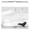 Illustre paradis blanc 2025 - 7 feuillets - xxl 480x580mm - reliure spirale - marquage quadri - page de garde repiquee