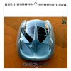 Illustre design car 2025 - 7 feuillets - xxl 480x480mm - reliure spirale - marquage quadri - page de garde repiquee